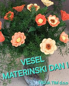 Read more about the article MATERINSKI DAN IN VARNOST DRUŽINE